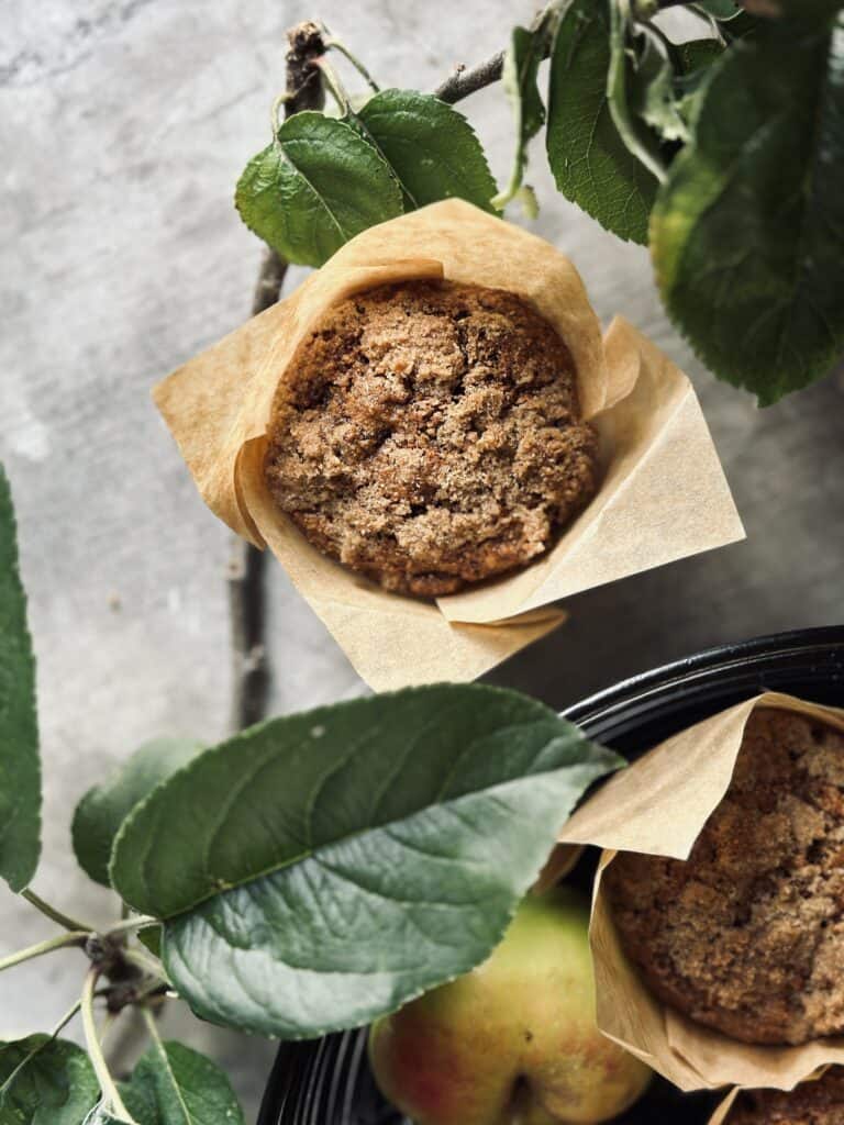 An apple and rye muffin nestled in between apple tree branches
